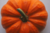 Top of a miniature pumpkin.