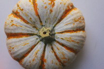 white pumpkin 