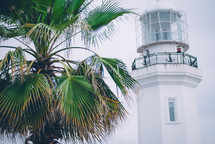 lighthouse on the seashore in the background of palm trees