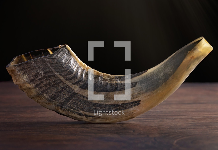 horn on a wood background 