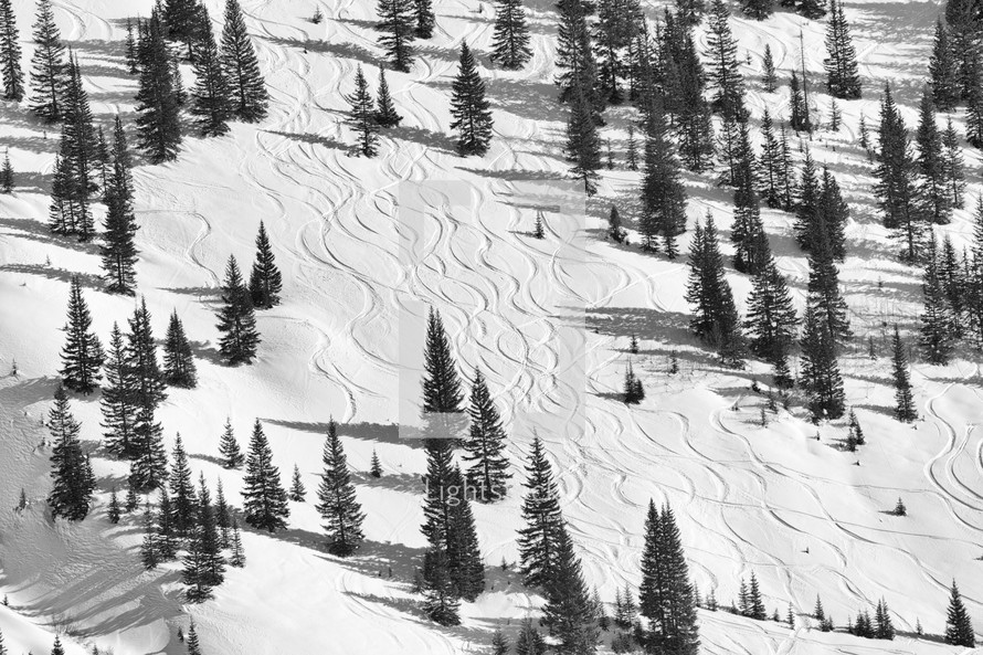 ski tracks on a forest slope 