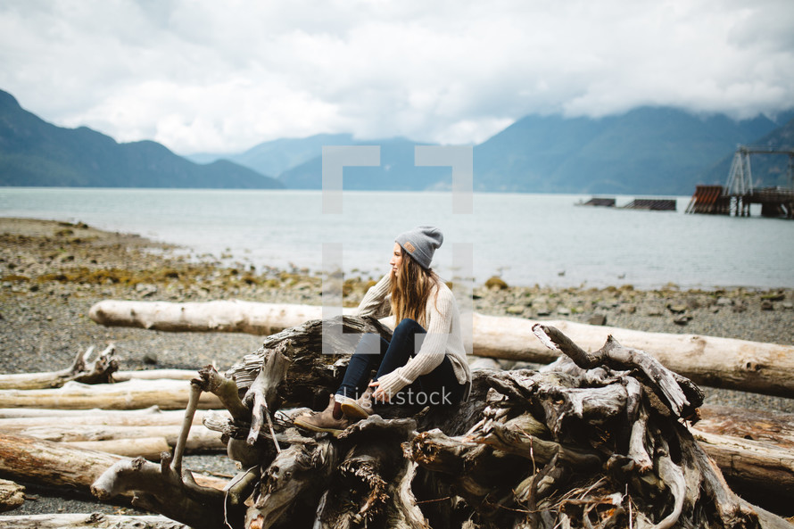 a woman sitting on driftwood on a shore 
