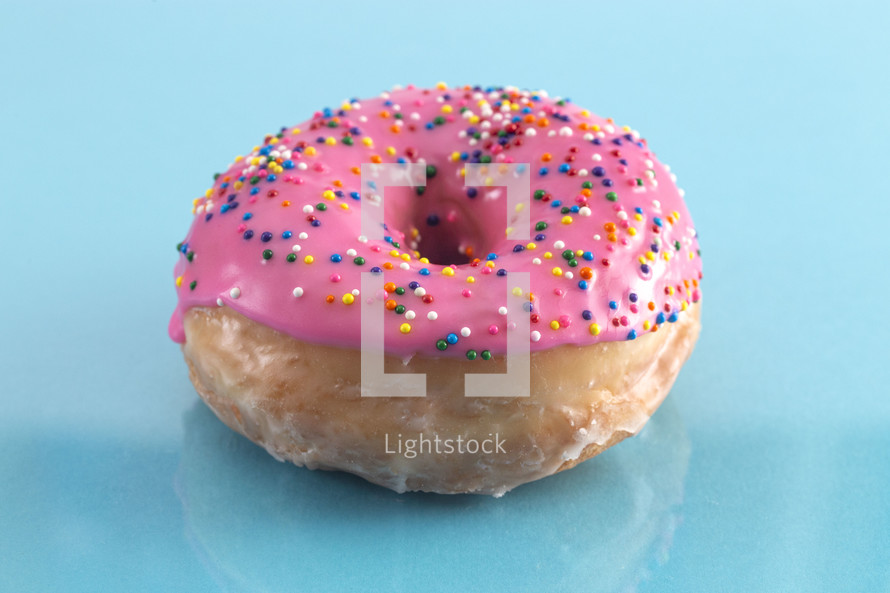 sprinkled donut 