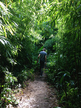 Man walking on a path through a tropical forest.