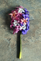 Spring Colorful Hyacinth Flowers On Stone Background