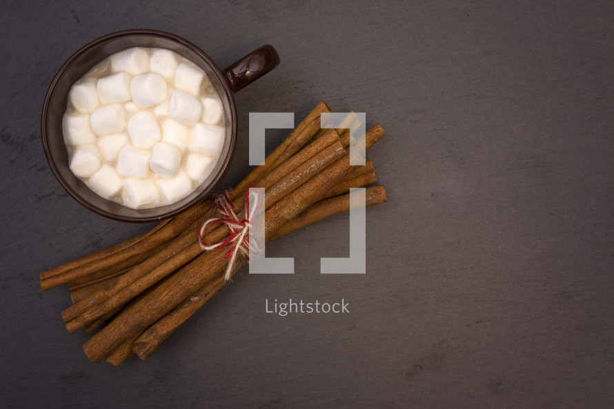 cinnamon sticks and hot cocoa 