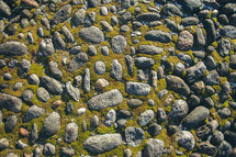 moss and stones background 
