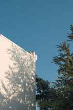 white exterior wall and tree branches 