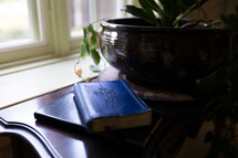 Bible and house plant on a table in front of a window 