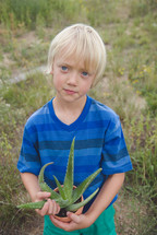 a boy child holding a potted aloe plant 