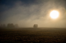 sunrise over a foggy field 