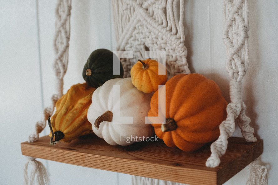 pumpkins on a hanging shelf 