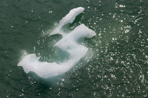 floating ice in the ocean in Alaska 