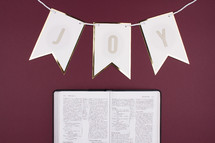 joy banner and open Bible on maroon background 