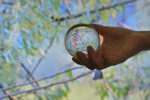 Glass Lens ball and eurasian hoopoe (Upupa epops) on summer branch