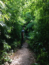 man on a path through a jungle 
