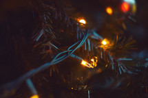 Close up of Christmas Tree Lights