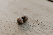acorns on a wood background 