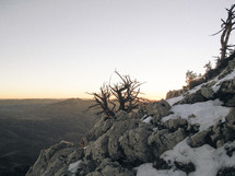 A tree growing out of a rock, a beautiful mountain scape during sunrise.