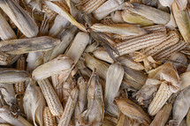 A pile of dried ears of corn.