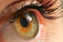 Details of Human Eye Macro View with Natural Light