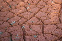  cracked red clay soil on the ground 
