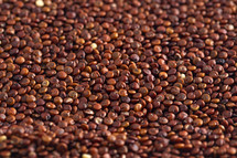A Pile of red Quinoa Background