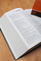 journal and Romans on the pages of an open Bible 