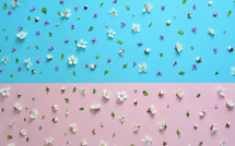 flower petals on blue and pink 
