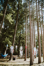 dream catchers and hammocks under trees in a forest 