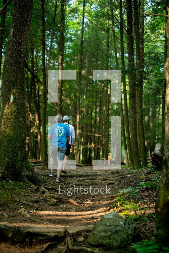men hiking through a forest 