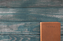 Bible on a green wood background 