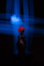 rose in a vase under blue light 