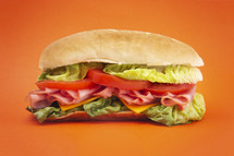 sub sandwich 