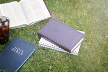 Small Group Bible Study in the Green Grass