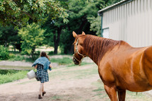 a horse watching a girl with a feed bucket 
