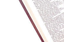 pages of an open Bible on a white background 