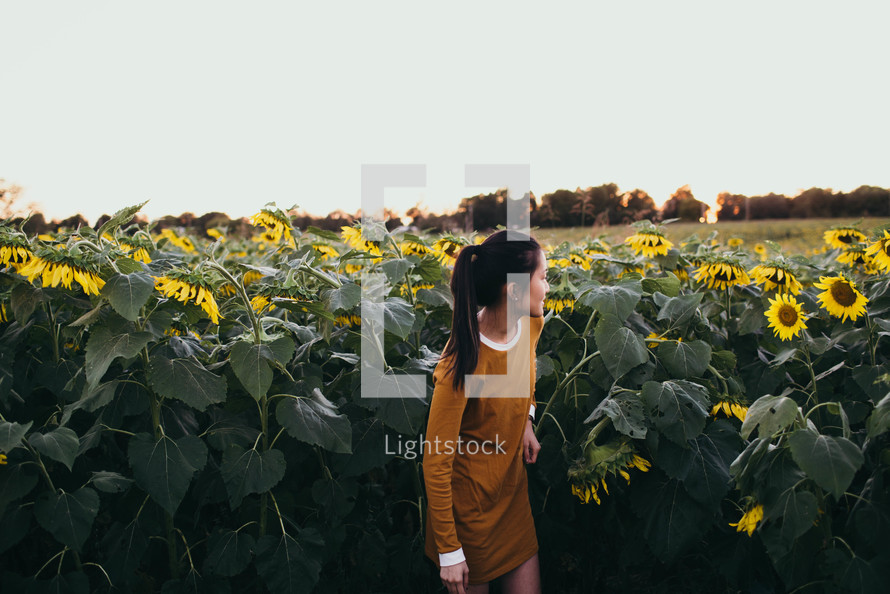young woman standing in a field of sunflowers 