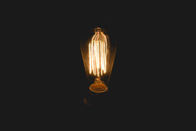 glowing elements in an Edison bulb 