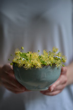 Closeup Young Girl Holding cup of linden flowers