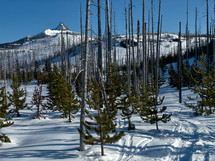 Snowy winter snowshoe hike in Oregon back country