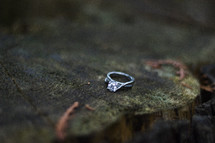 Diamond ring on a tree stump.