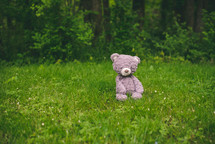 teddy bear in green grass