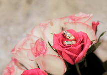 wedding rings in pink roses 