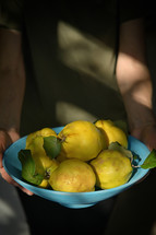 Person holding a blue bowl of pears