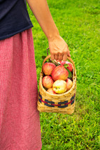 girl carrying a basket of apples