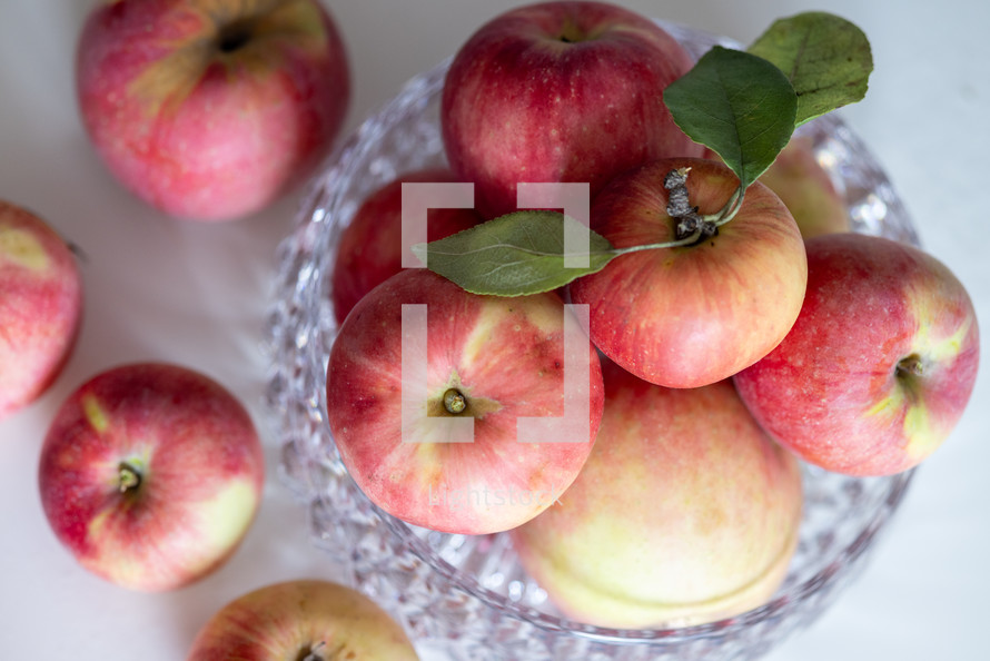 bowl of apples in natural light, view from above