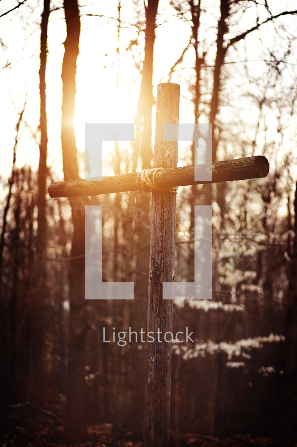 wood cross in a forest 