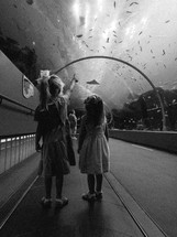 children visiting an aquarium 