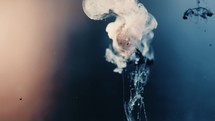 Falling magical Nebula powder in slow motion underwater, close up	